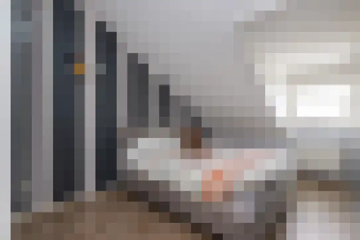Springert 4 Ouddorp thumbnail 36