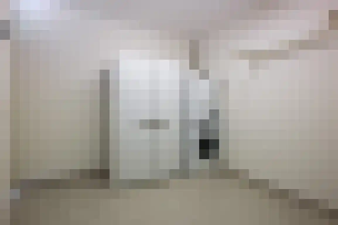 Springert 4 Ouddorp thumbnail 40