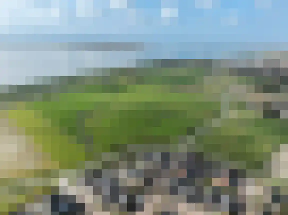Springert 4 Ouddorp thumbnail 49