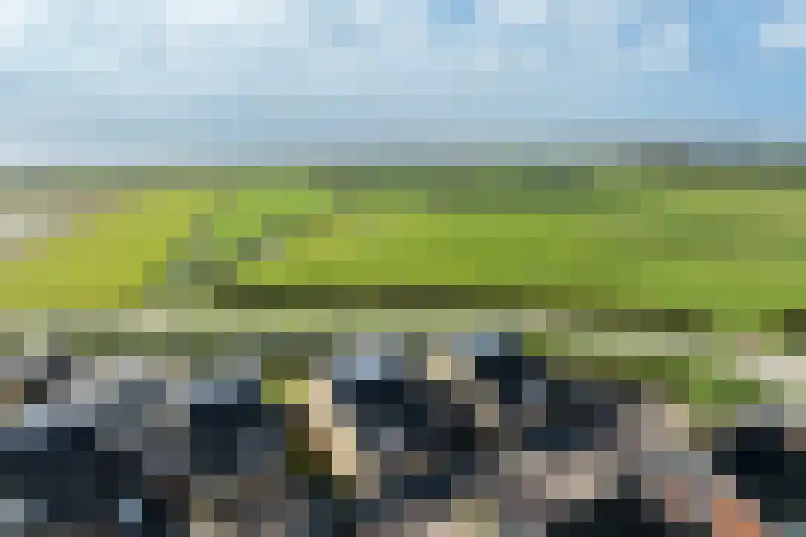 Springert 4 Ouddorp thumbnail 50