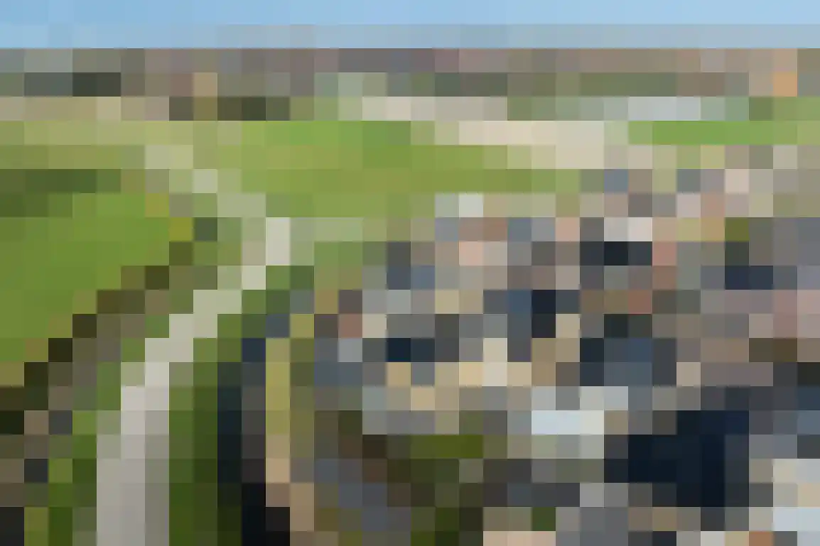Springert 4 Ouddorp thumbnail 51