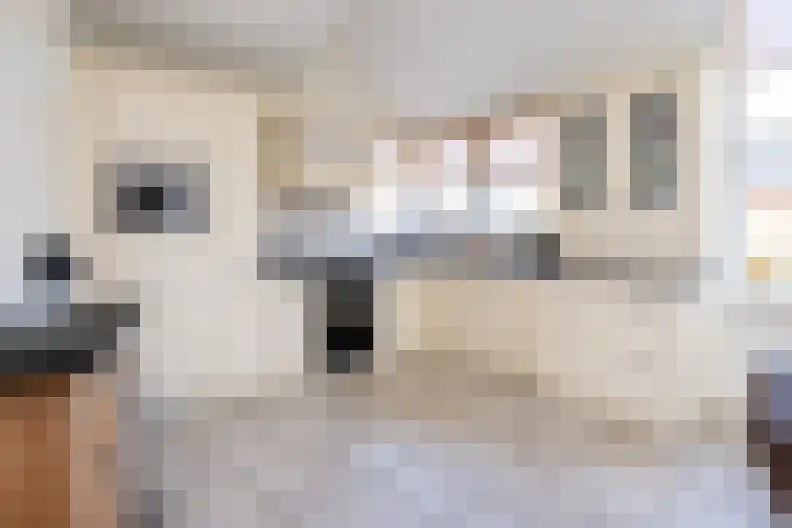 Springert 4 Ouddorp thumbnail 7