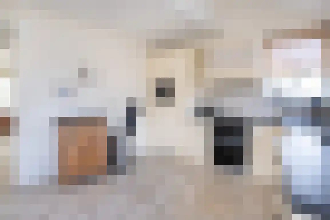 Springert 4 Ouddorp thumbnail 8