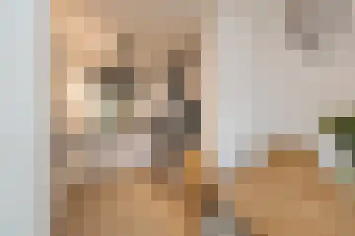 Springtij 12 Noordwijk thumbnail 12