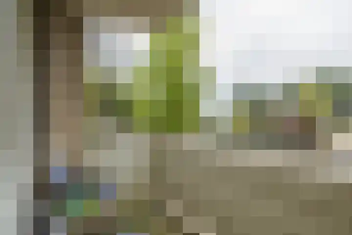 Springtij 12 Noordwijk thumbnail 20
