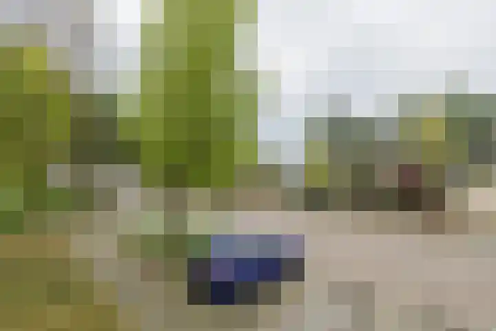Springtij 12 Noordwijk thumbnail 21