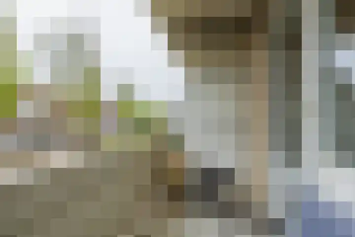 Springtij 12 Noordwijk thumbnail 22
