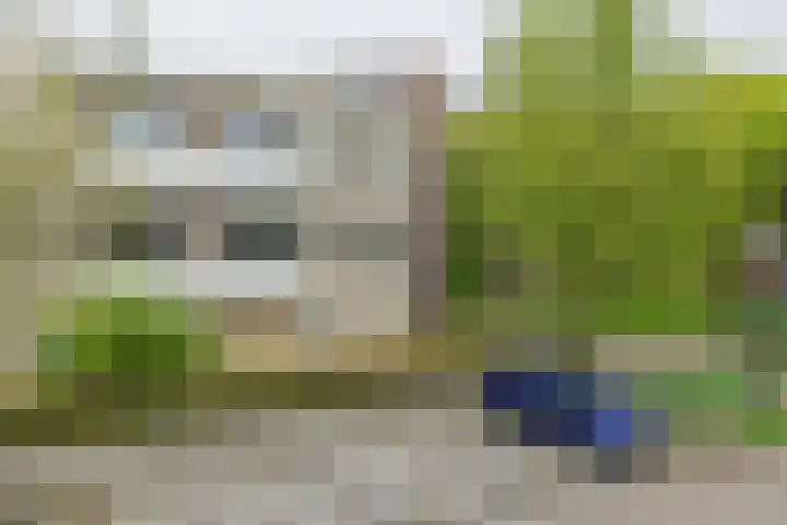 Springtij 12 Noordwijk thumbnail 26