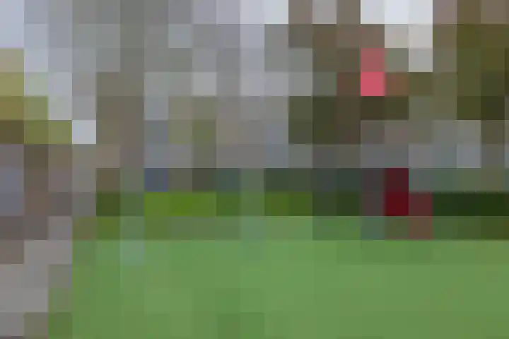 Springtij 46 Noordwijk thumbnail 18