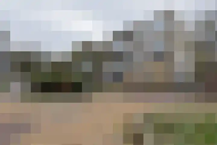 Springtij 46 Noordwijk thumbnail 19