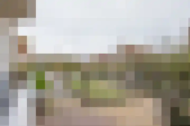 Springtij 46 Noordwijk thumbnail 20