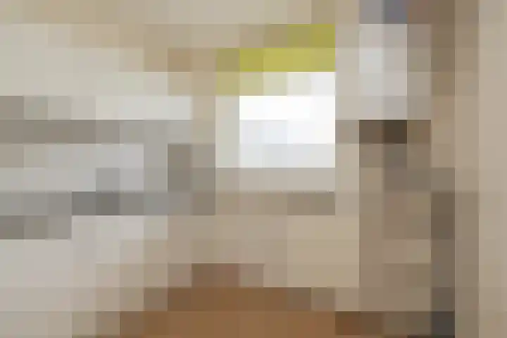 Springtij 46 Noordwijk thumbnail 6