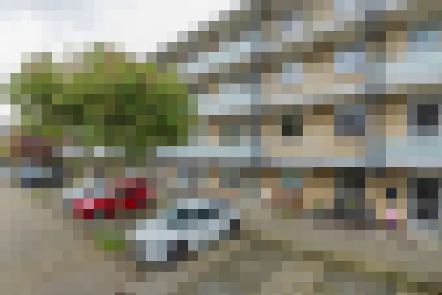Springtij 56 Noordwijk thumbnail 19