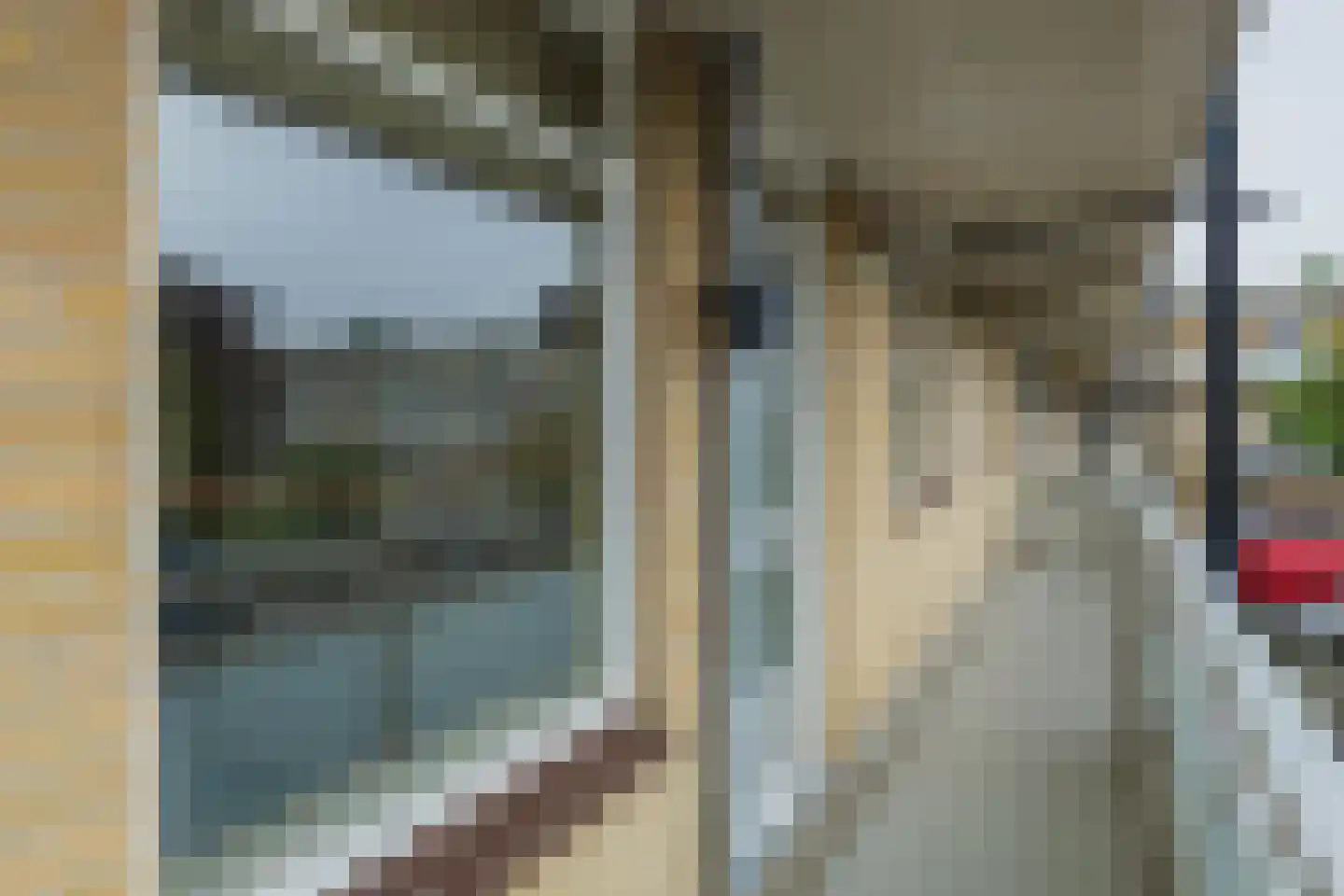 Springtij 56 Noordwijk thumbnail 5