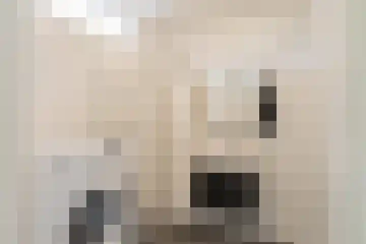 Springtij 7 Noordwijk thumbnail 11