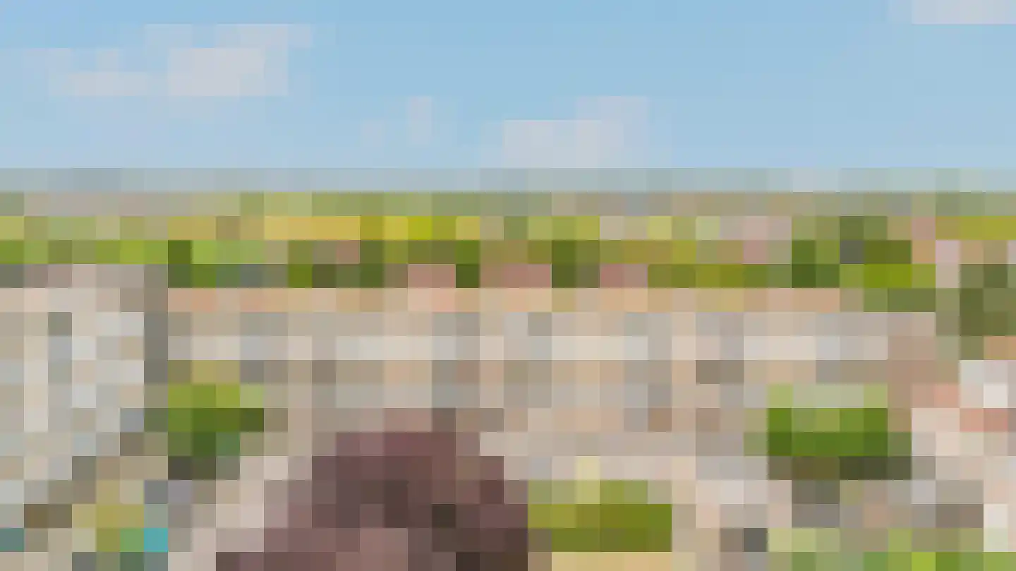 Springtij 7 Noordwijk thumbnail 11