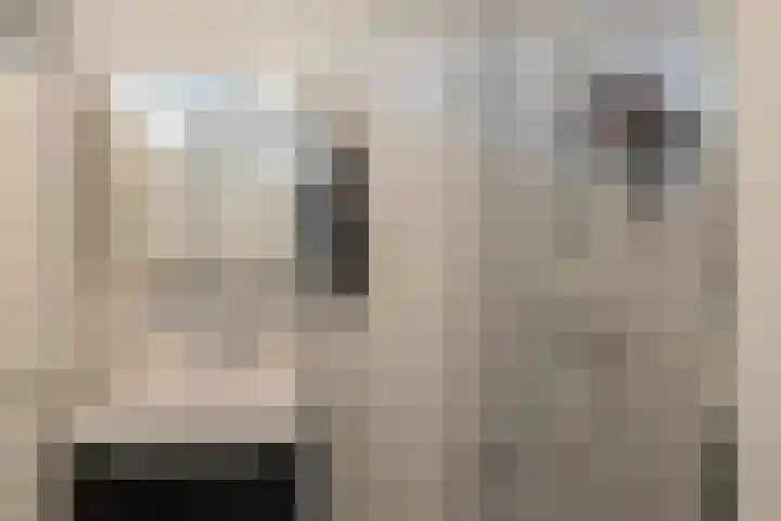 Springtij 7 Noordwijk thumbnail 13