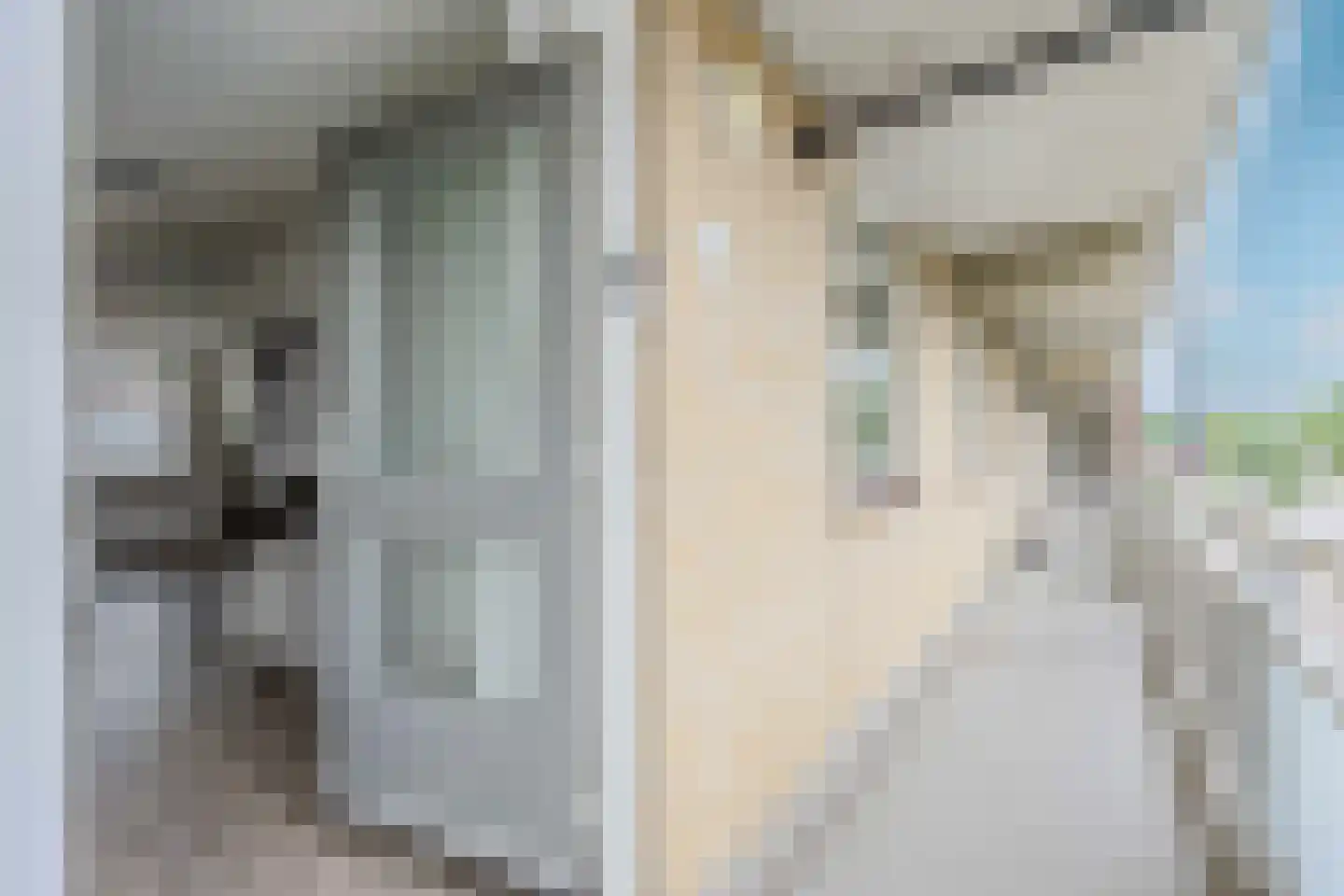 Springtij 7 Noordwijk thumbnail 14