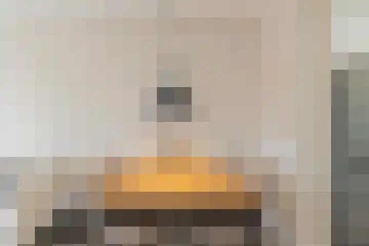 Springtij 7 Noordwijk thumbnail 20