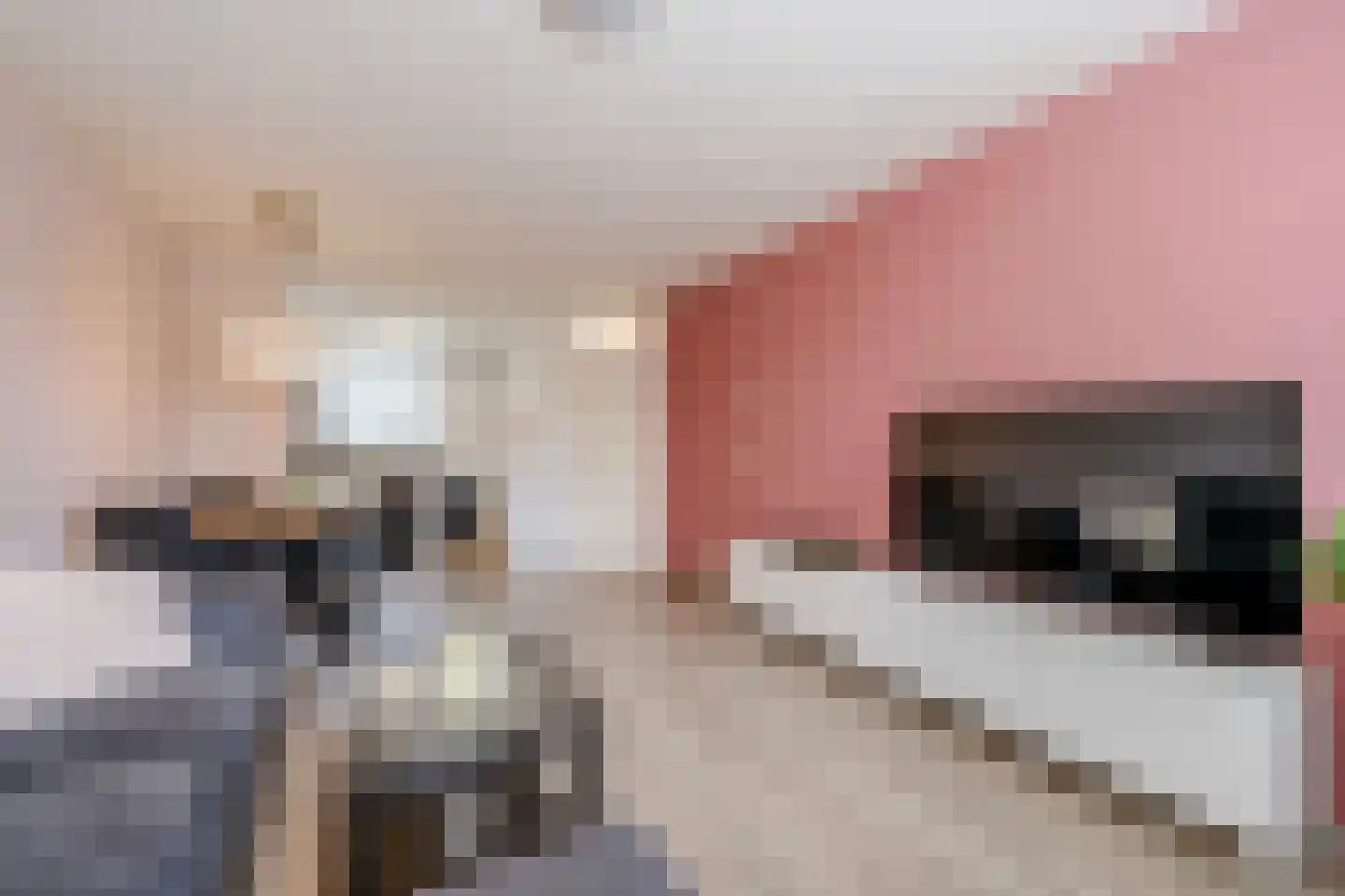 Springtij 7 Noordwijk thumbnail 20