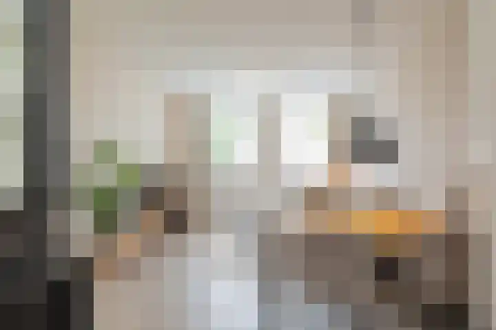 Springtij 7 Noordwijk thumbnail 24