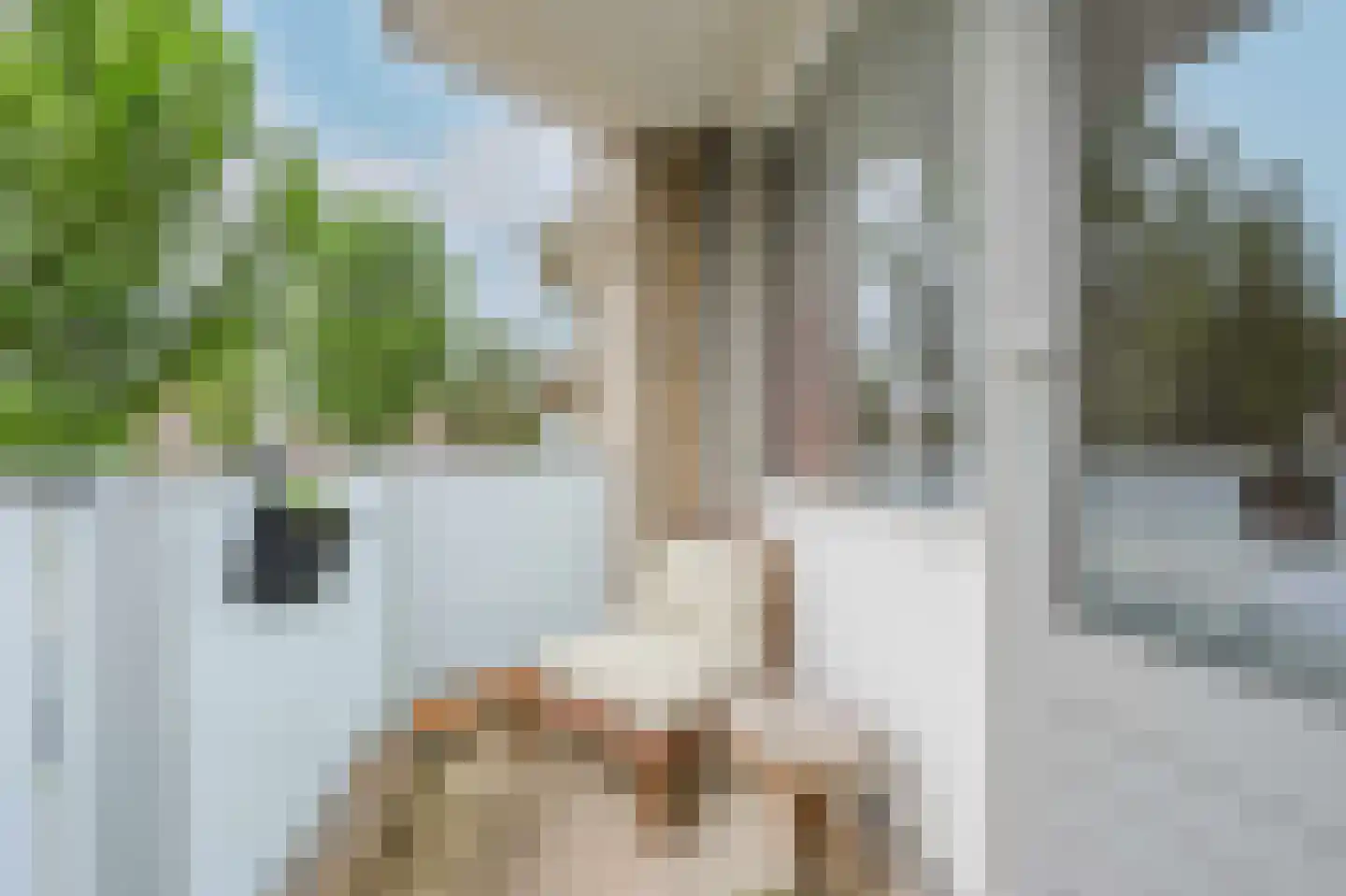 Springtij 7 Noordwijk thumbnail 24