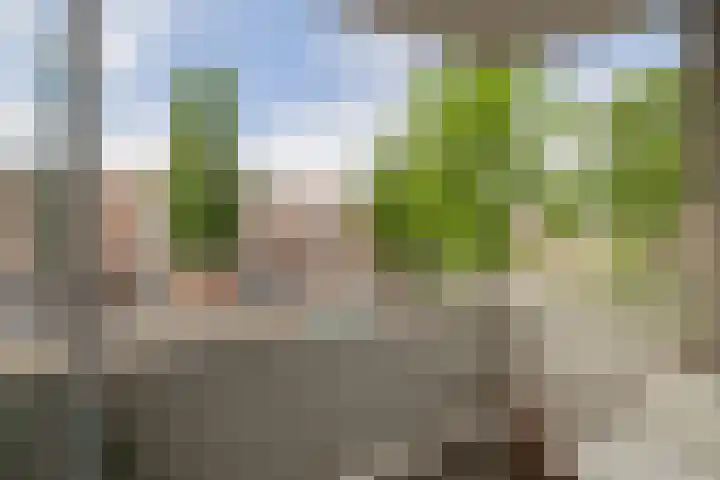 Springtij 7 Noordwijk thumbnail 27