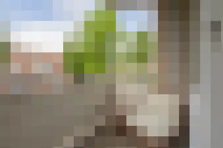Springtij 7 Noordwijk thumbnail 28