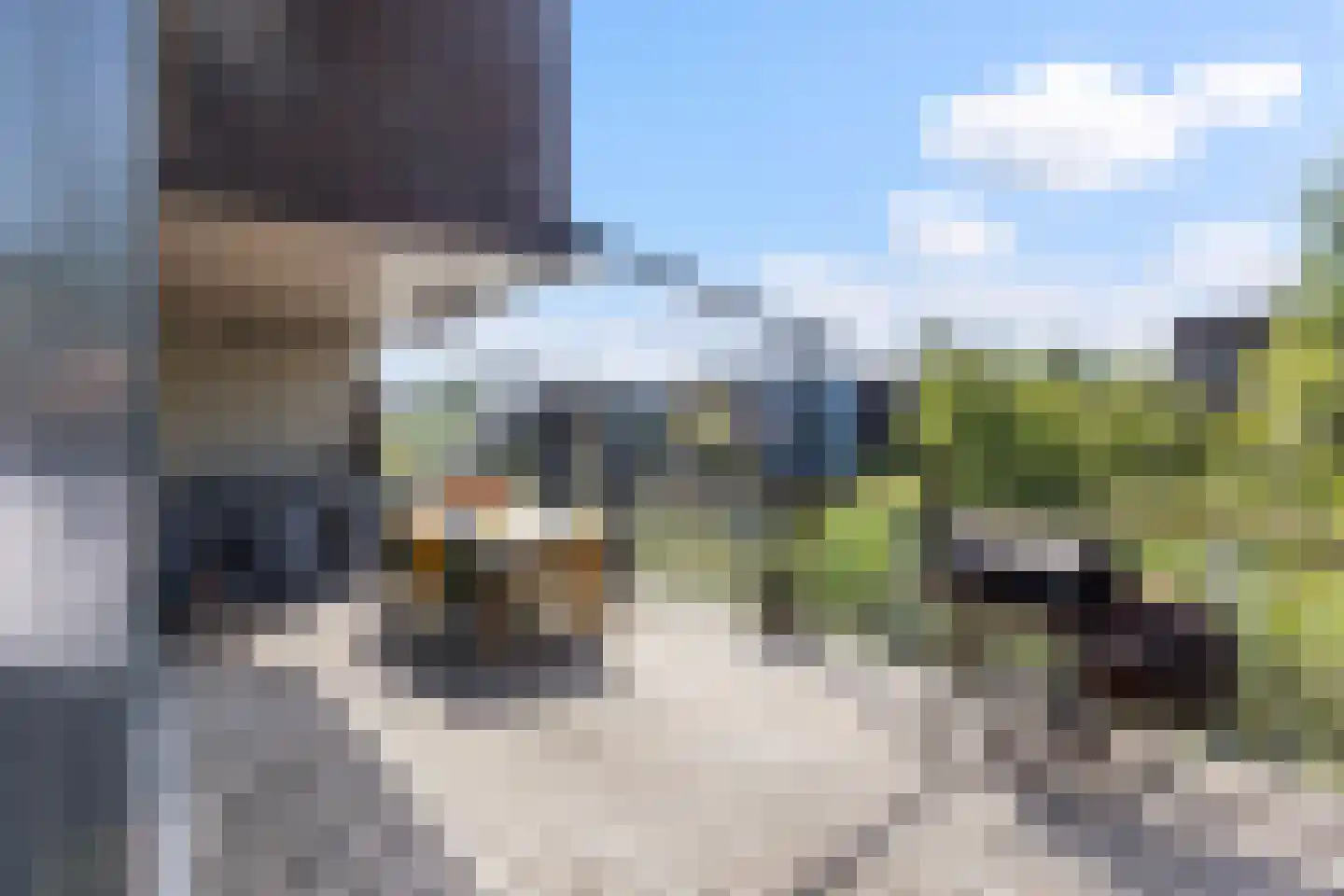 Springtij 9 Dordrecht thumbnail 39
