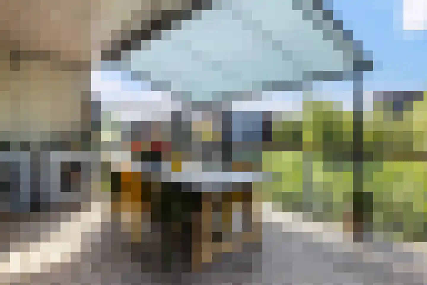 Springtij 9 Dordrecht thumbnail 40
