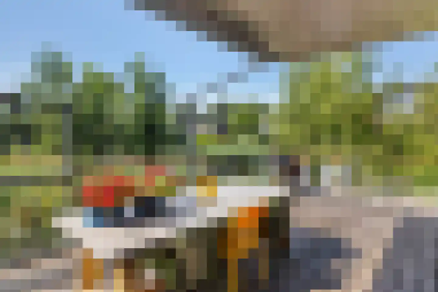 Springtij 9 Dordrecht thumbnail 41