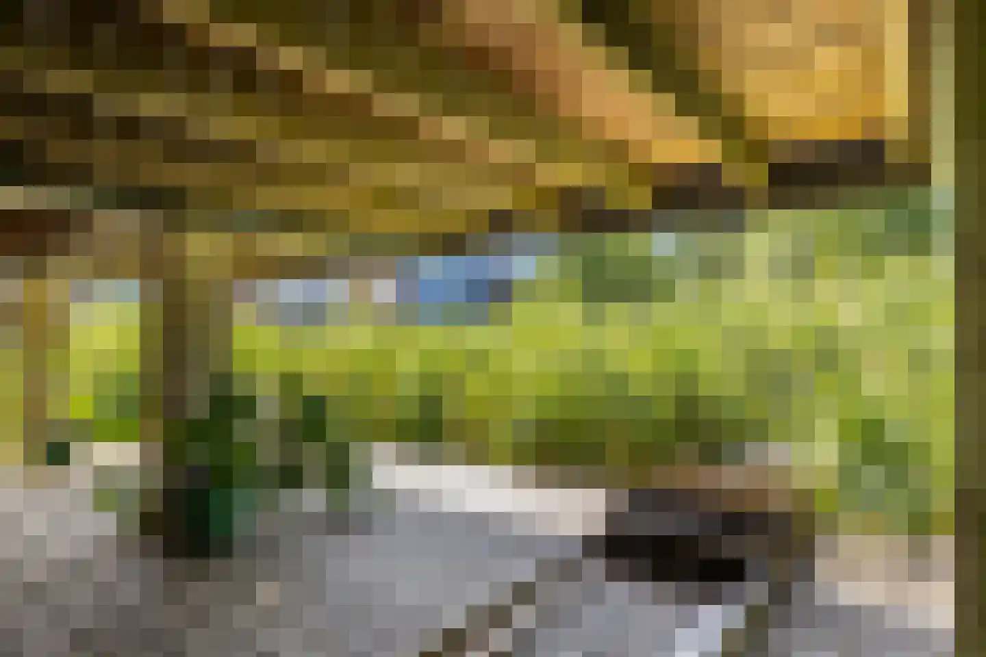 Springtij 9 Dordrecht thumbnail 44