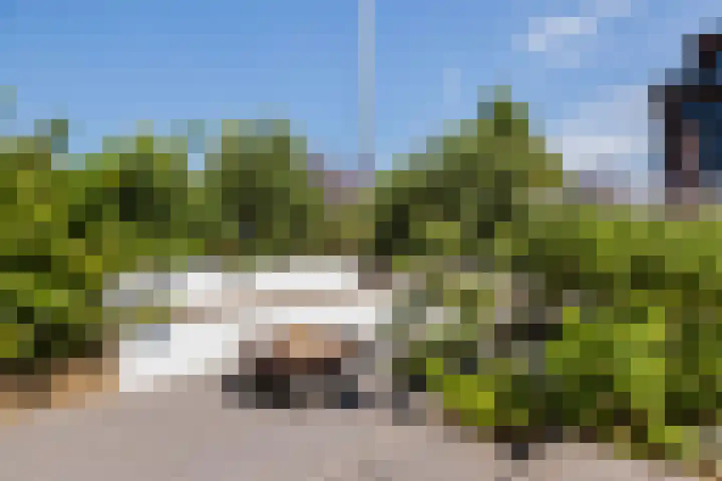 Springtij 9 Dordrecht thumbnail 48