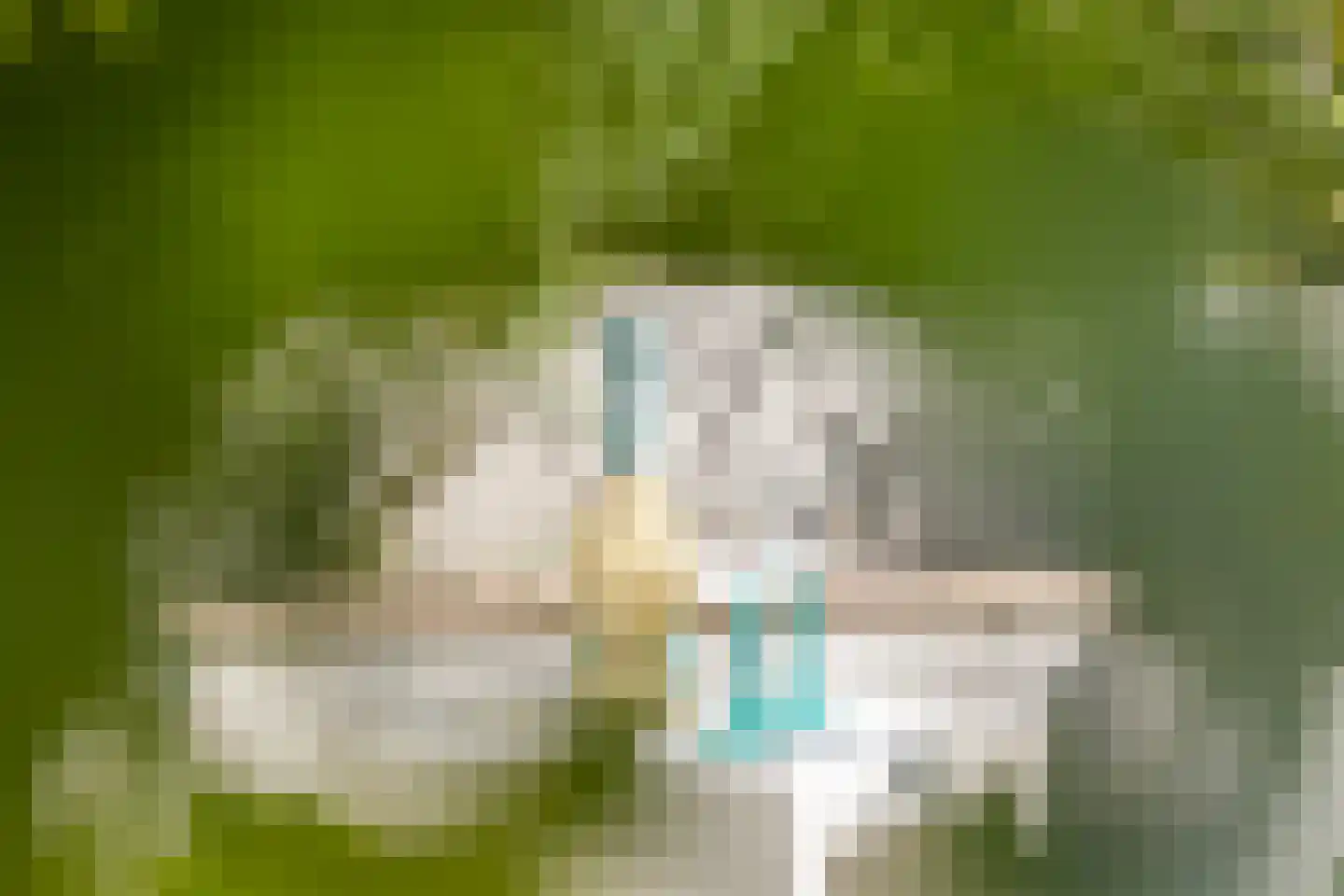 Springtij 9 Dordrecht thumbnail 49