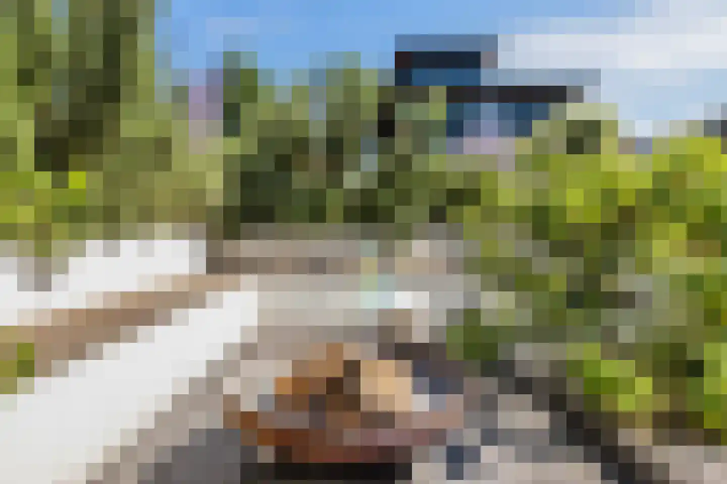 Springtij 9 Dordrecht thumbnail 51