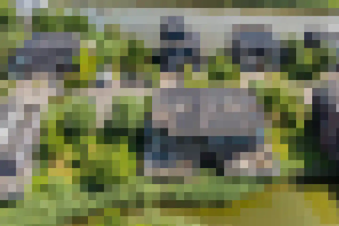 Springtij 9 Dordrecht thumbnail 61