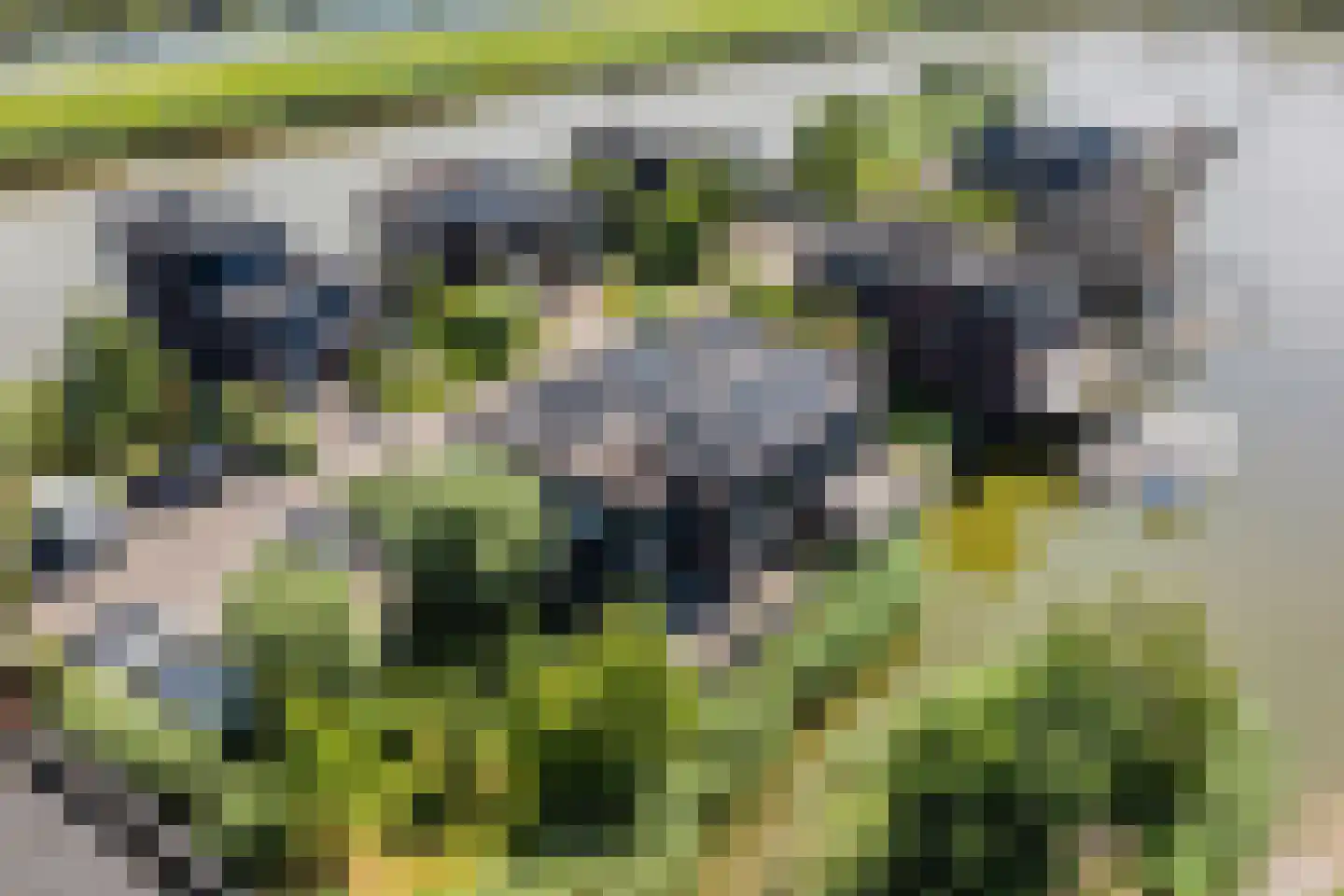 Springtij 9 Dordrecht thumbnail 62