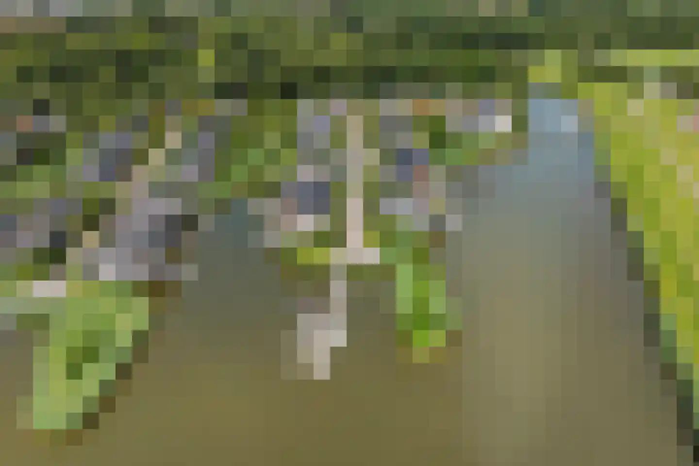 Springtij 9 Dordrecht thumbnail 64