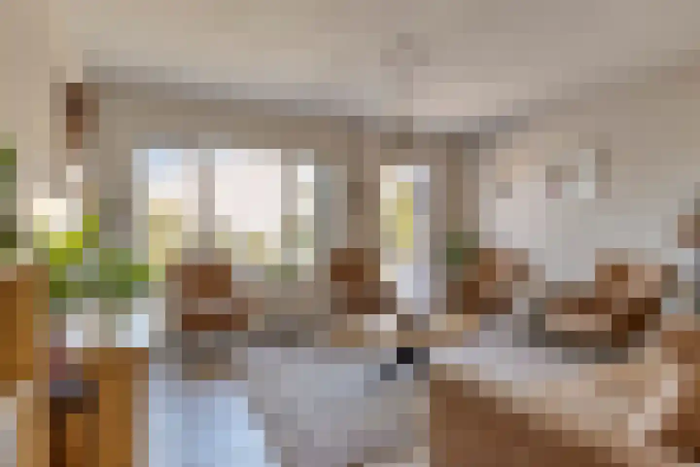 Springtouw 4 Best thumbnail 11