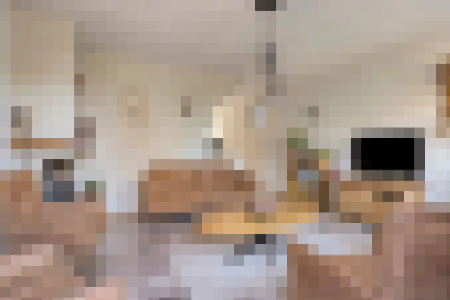 Springtouw 4 Best thumbnail 12
