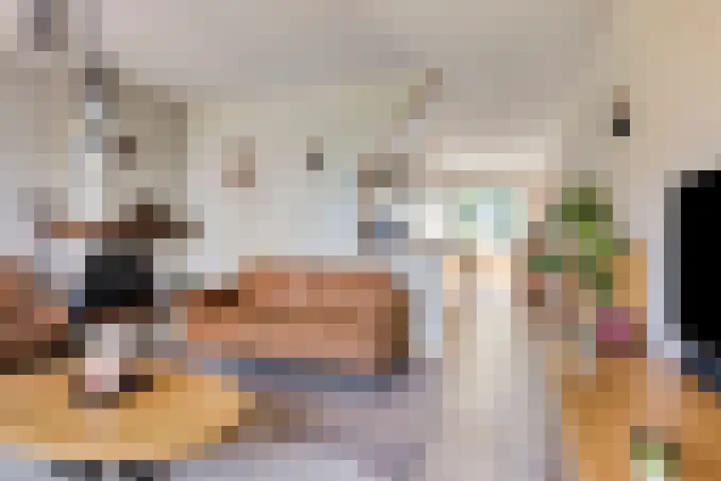 Springtouw 4 Best thumbnail 13