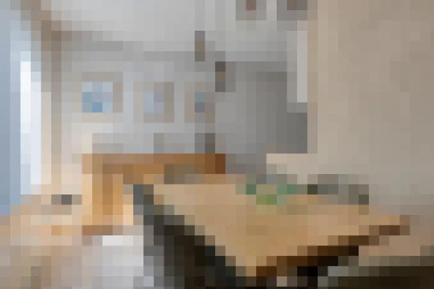 Springtouw 4 Best thumbnail 16