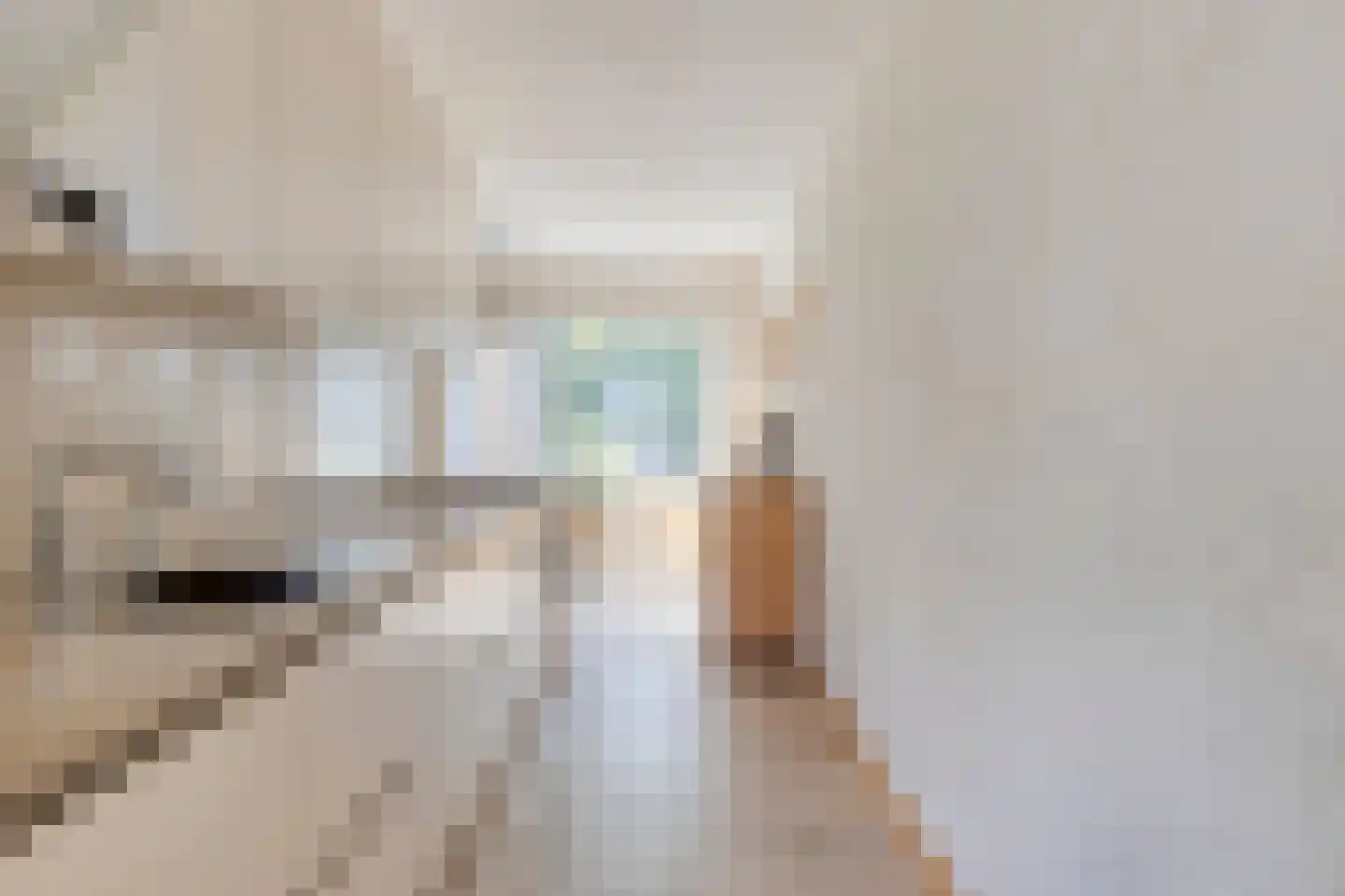 Springtouw 4 Best thumbnail 18