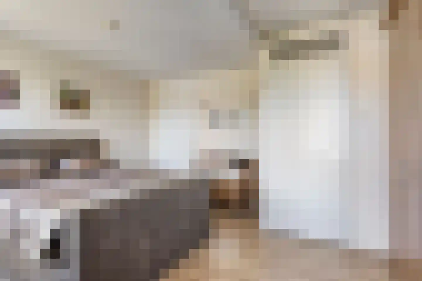 Springtouw 4 Best thumbnail 20