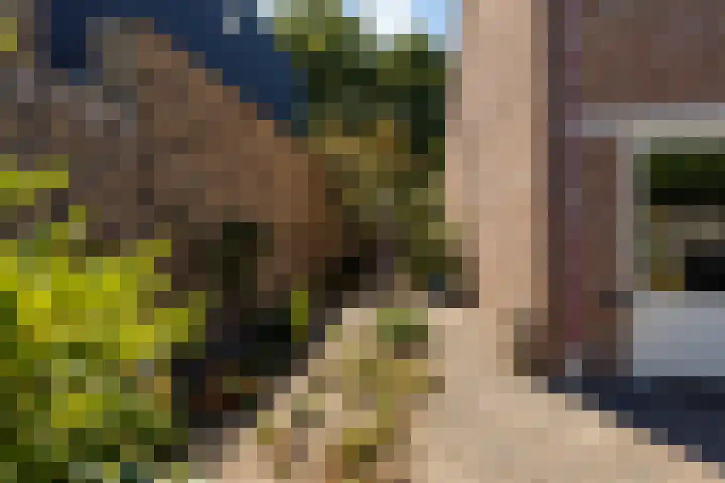 Springtouw 4 Best thumbnail 34