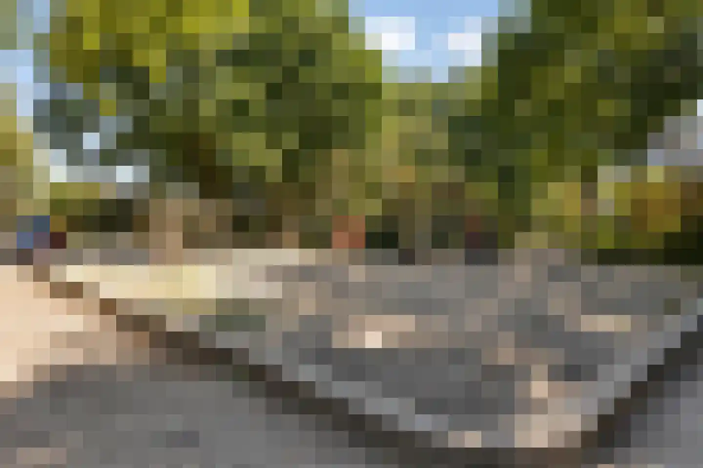 Springtouw 4 Best thumbnail 38