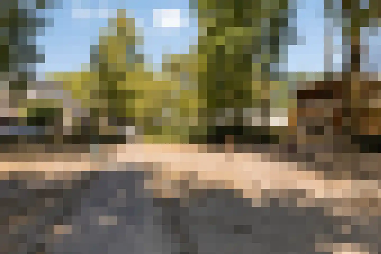 Springtouw 4 Best thumbnail 39