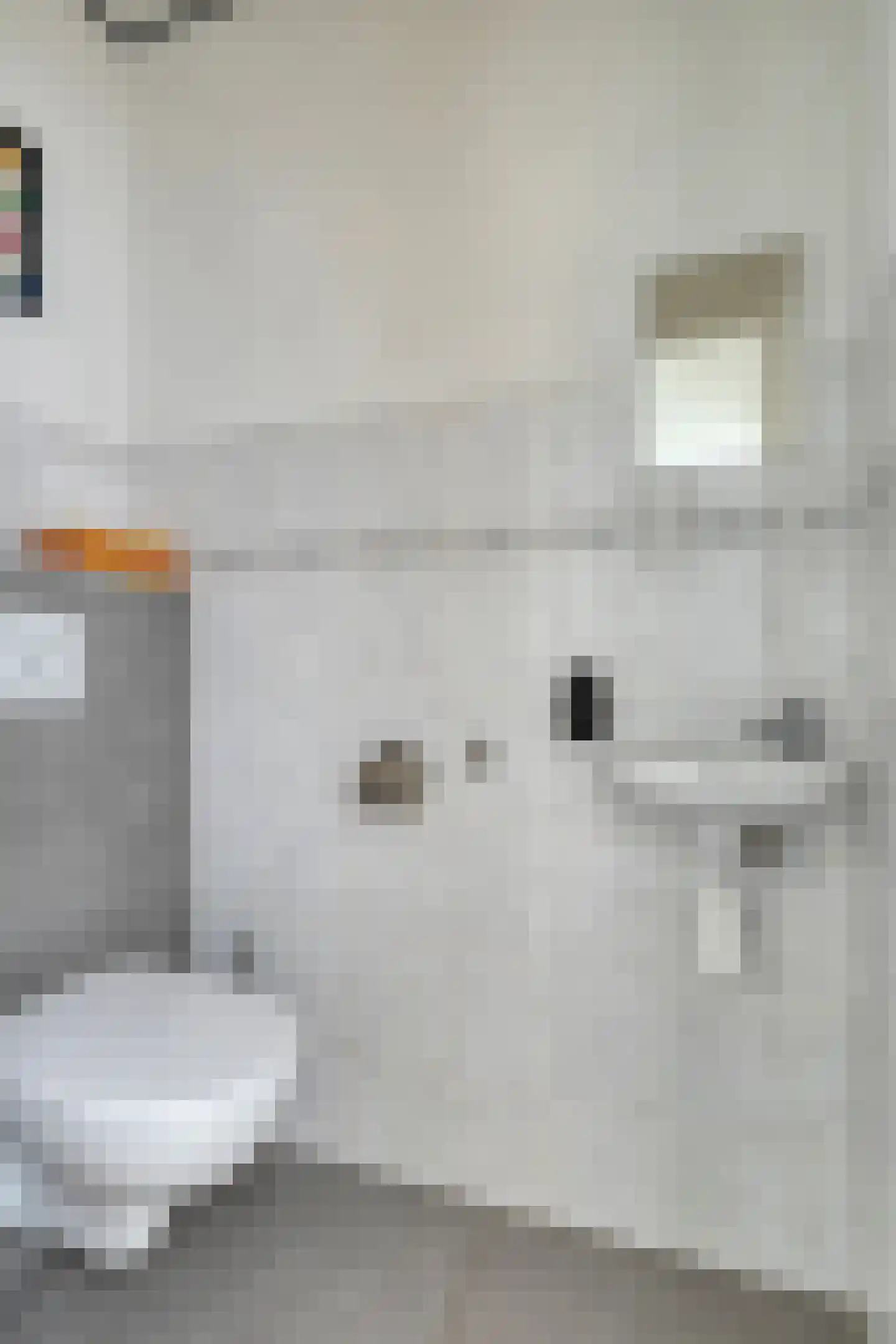 Springtouw 4 Best thumbnail 9