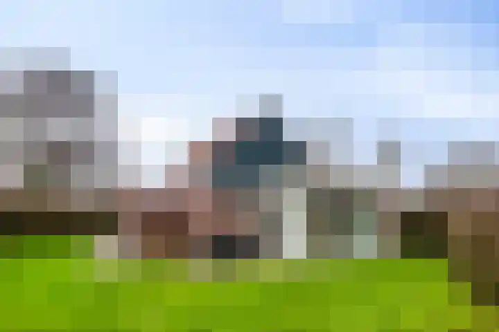 Springvloed 10 Zoutelande
