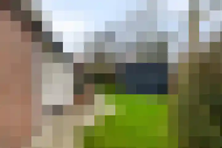 Springvloed 10 Zoutelande thumbnail 11